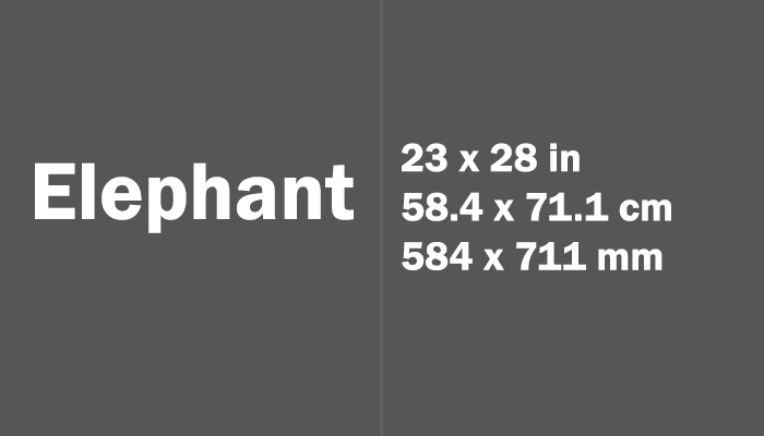 Elephant Paper Size in cm mm